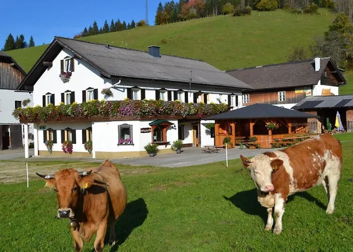 Bio Bauernhof Moas