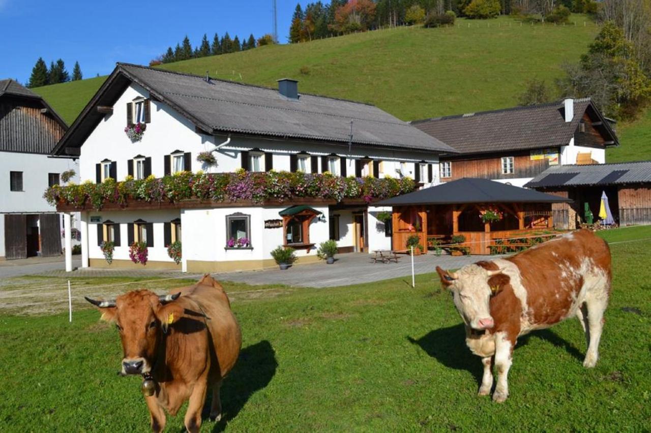 Bio Bauernhof Moas Farm stay Lunz am See