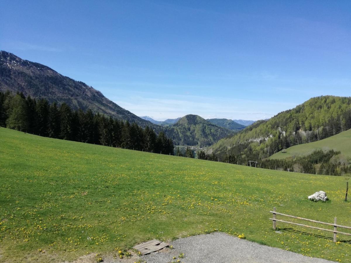 Bio Bauernhof Moas *